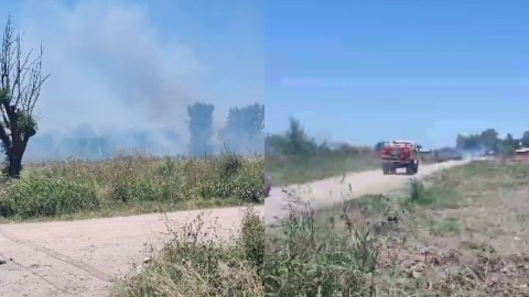 Video: Bomberos debieron extinguir un principio de incendio forestal en el barrio San Carlos
