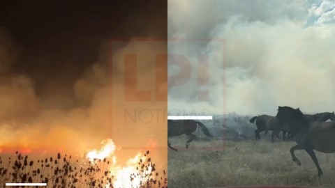 Incendios forestales en Gral Rodr&iacute;guez: nueva alerta y fuerte mensaje de los Bomberos a la comunidad