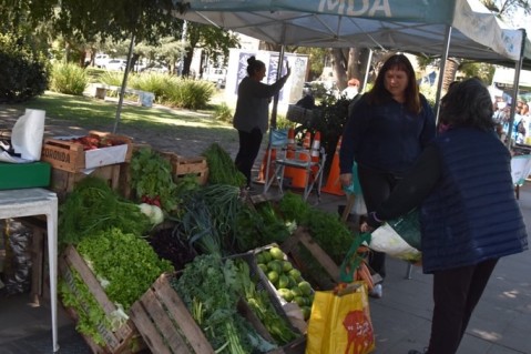 Vuelve el programa "Mercado de Productores Familiares" a Gral Rodríguez: cuándo y en dónde