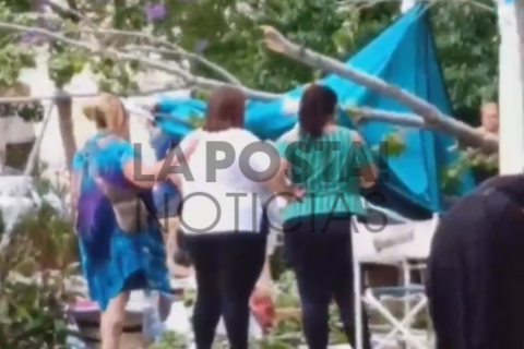 La Justicia conden&oacute; al Municipio y deber&aacute; indemnizar a la mujer herida por la ca&iacute;da de una rama en Plaza Sur