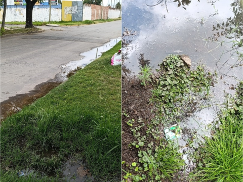 "Es un asco y un peligro": el reclamo de una vecina por constantes desbordes cloacales en su casa