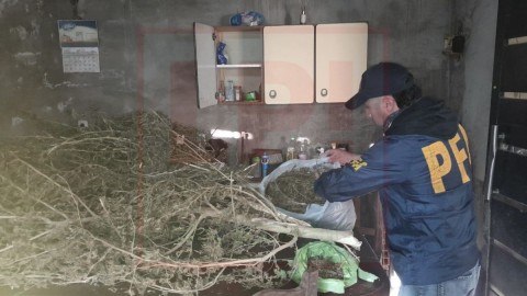 La trama narco detrás de los allanamientos realizados este martes en General Rodríguez