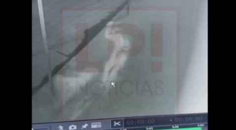 Video: ladrón tiró al suelo a una mujer en un violento asalto en barrio Güemes