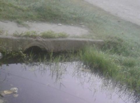 Vecinos de Almirante Brown reclaman por un ca&ntilde;o de agua p&uacute;blico roto