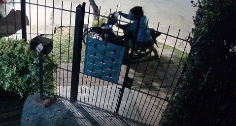 Video: otro robo de moto en el casco urbano de la ciudad y lo sufri&oacute; una joven
