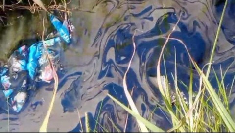 Vecinos de un barrio rodriguense acusan a una empresa por vertido de l&iacute;quidos contaminantes