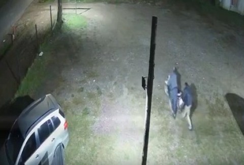 Video: así le robaron la moto a un vecino de Pico Rojo en Francisco Álvarez