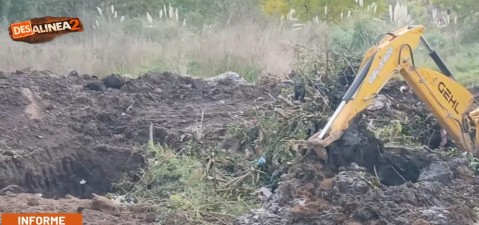 Marab&oacute; y un operativo de limpieza de dos caras: vecina mostr&oacute; indignada qu&eacute; hicieron en un predio frente a su casa