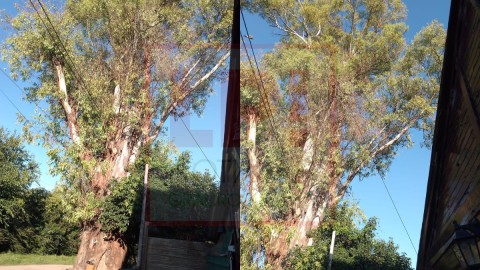 “Es un peligro”: el reclamo de una vecina de Villa Vengochea por una recurrente situación en la vereda de su casa