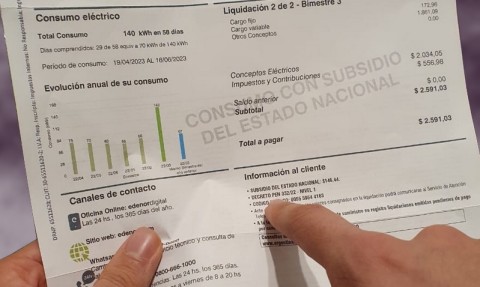 Cambia la factura de Edenor: a qué deben prestarle atención los rodriguenses