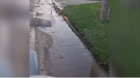El mal estado de la calle Trueba: entre aguas servidas y microbasurales