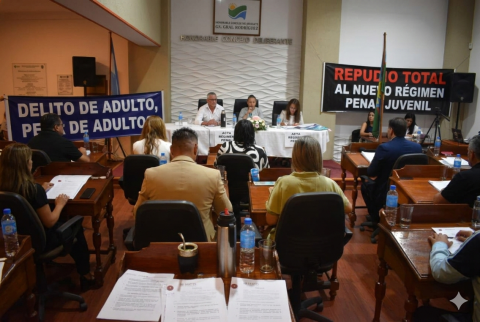 &ldquo;Delito de adulto, pena de adulto&rdquo;: el HCD trat&oacute; un proyecto de repudio al nuevo R&eacute;gimen Penal Juvenil