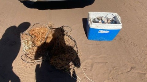 Pescadores rodriguenses terminaron "pescados"