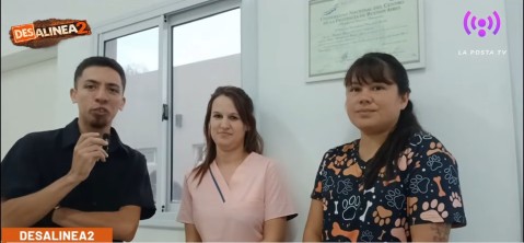 Rabia en murci&eacute;lagos y prevenci&oacute;n: qu&eacute; dicen desde el Hospital Veterinario de Gral Rodr&iacute;guez