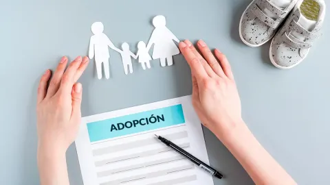 Qué cambios habría en el sistema de adopción bonaerense