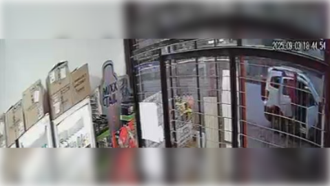 Video: en menos de dos minutos desvalijaron una granja de avenida Balbín y Leloir