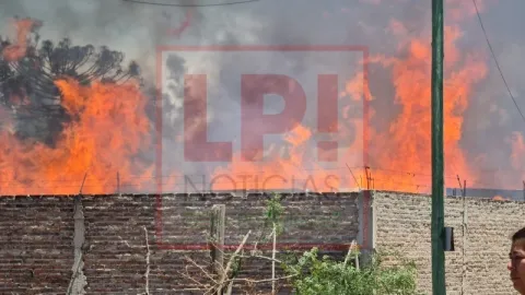 Video: así fue el incendio de la palletera en Altos de General Rodríguez