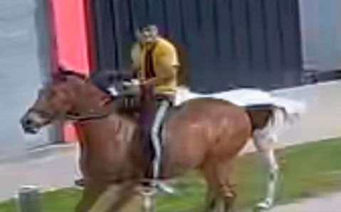 El video que confirma el robo de dos caballos cerca de la planta de Valente