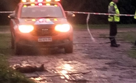 Parte de una calle electrificada, irregularidad, una perrita fallecida y una tragedia que pudo ser may&uacute;scula