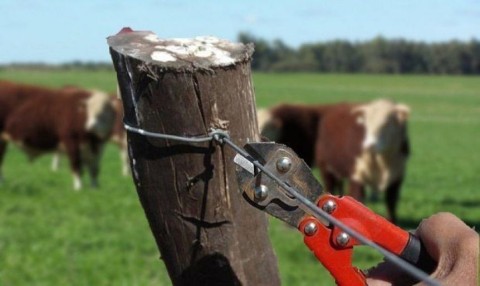 Buscan crear fiscalías especializadas en delitos rurales: cómo beneficiaría a Gral Rodríguez