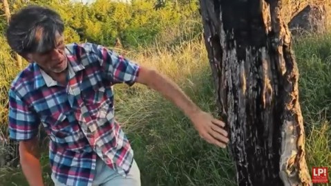 Reciclando Ideas 8: una casa hecha con botellas, cosméticos naturales para la piel y mucho más