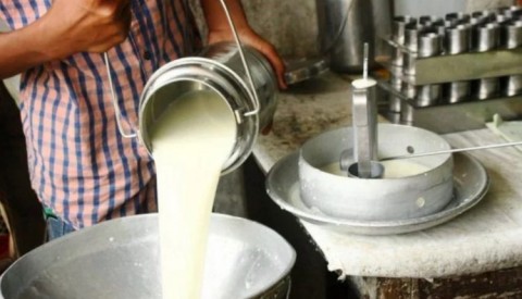 Piden declarar la "Ley de Emergencia" en la industria lechera: el complejo panorama provincial