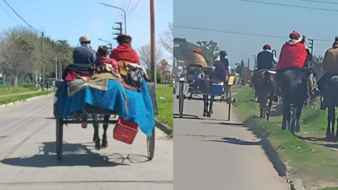 Las dos razones del fallido operativo de la peregrinación a caballo y una advertencia de SOS CAN para el retorno