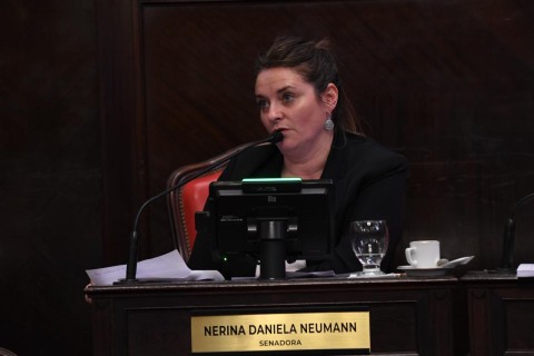 Senado: media sanción para una propuesta de gran impacto para el taller Nueva Esperanza en General Rodríguez
