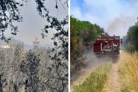 Alarma en Gral Rodr&iacute;guez por la seguidilla de incendios forestales: decenas de intervenciones en pocos d&iacute;as