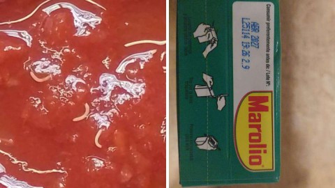 Otra polémica por un lote de tomate Marolio y la misma razón que sucedió en nuestra ciudad en 2024