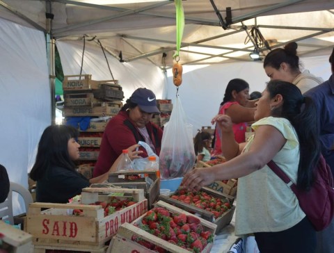 General Rodríguez celebra una nueva edición de la Fiesta de la Frutilla y la Expo GR en simultáneo