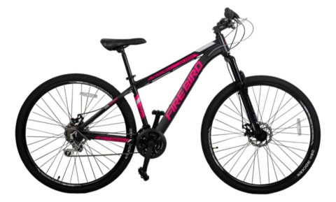 Otra vez entraron a una vivienda y se llevaron una bicicleta estando hasta con candado