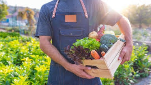Está abierta la inscripción para el Curso de Operario Hortícola