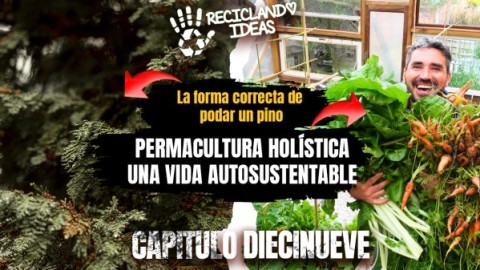 Reciclando Ideas 19: c&oacute;mo cumplir el sue&ntilde;o de una vida autosustentable y la forma correcta de podar un pino