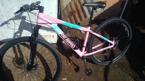 Es auxiliar y le robaron la bicicleta desde adentro de la escuela en donde trabaja