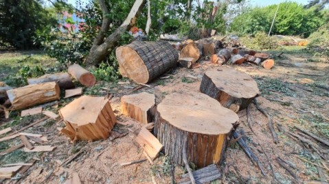 Fuerte tala en el monte del hospital: además de los Bomberos, se instalará allí el COM