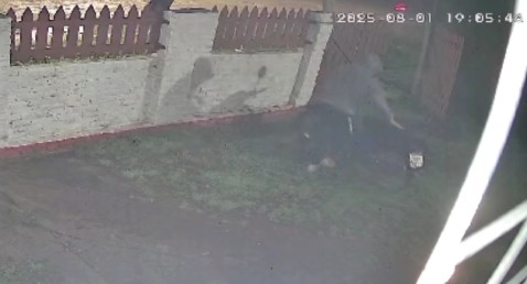 Video: ladrón entró a una casa a robar pero su plan le salió mal y tuvo que escapar