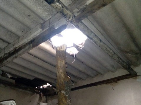 Su casa est&aacute; deteriorada por la ca&iacute;da de gruesas ramas de &aacute;rboles y nadie le da respuestas