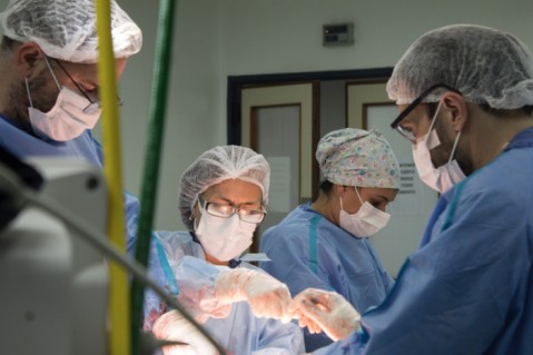 R&eacute;cord hist&oacute;rico en donaci&oacute;n de &oacute;rganos, con Buenos Aires como clave: los n&uacute;meros que lo explican