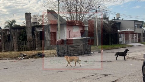 Video: así fue el choque y vuelco del domingo en zona Sur
