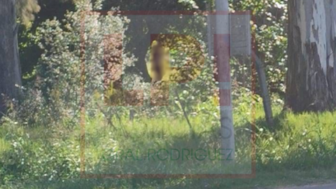 Hallaron a un hombre sin vida en el monte del Hospital Vicente López