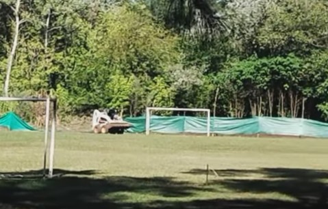 Vecino defensor del Monte del Hospital denuncia una nueva tala de árboles y acusa al club Alem
