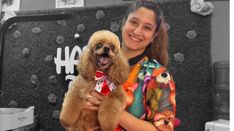 Dos cursos de Peluquería Canina: de qué se trata y cómo anotarse