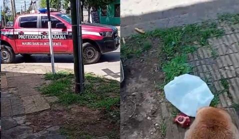 Denunciaron, detuvieron y mandaron a un hospital psiquiátrico a un empleado municipal de Seguridad