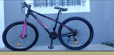 Le robaron la bici con la que iba a su trabajo a plena luz del d&iacute;a