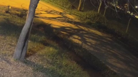 Video: así se escuchó la explosión en la madrugada del sábado en los barrios cercanos a Moreno