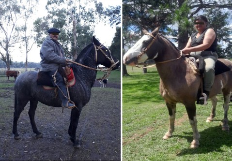 Intensa b&uacute;squeda en Gral Rodr&iacute;guez de dos caballos robados a una familia de otro distrito