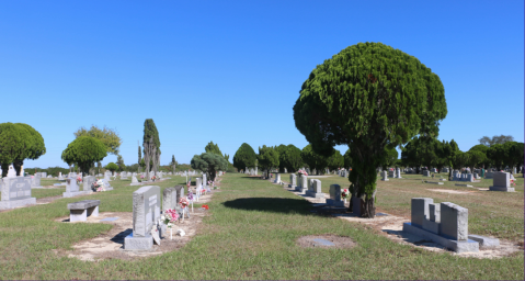 El HCD aprobó la creación del Cementerio Parque local: qué resolvieron y cómo será