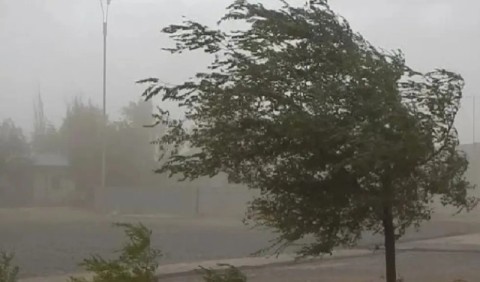 Hay alerta meteorológico para Gral Rodríguez: hasta cuándo persistirá y cómo sigue el clima este jueves