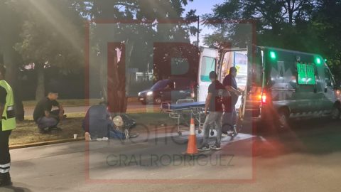 Un perro causó un accidente en una esquina de la Ruta 7 y una joven terminó con lesiones